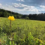 Tannenhof Hotell 3*