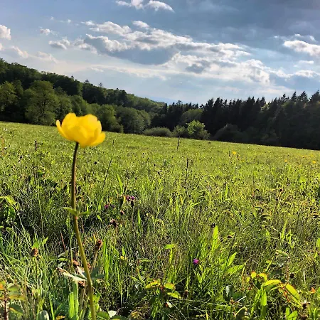 Tannenhof بيت ضيافة 3*