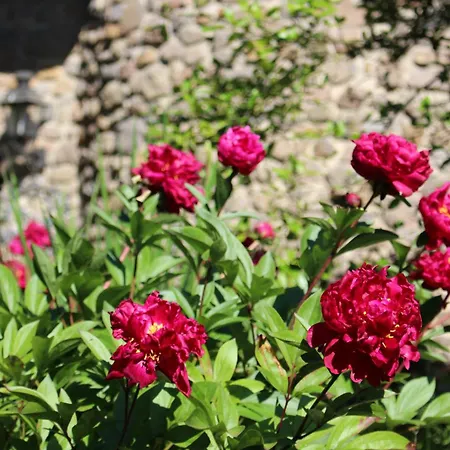 Tannenhof بيت ضيافة Gonterskirchen