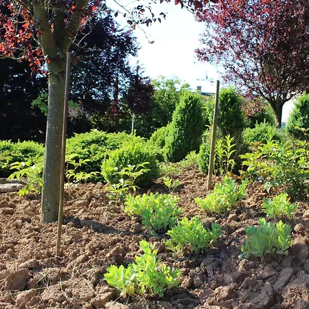 Tannenhof Guest house Gonterskirchen