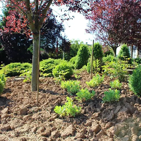 Guest house Tannenhof Gonterskirchen