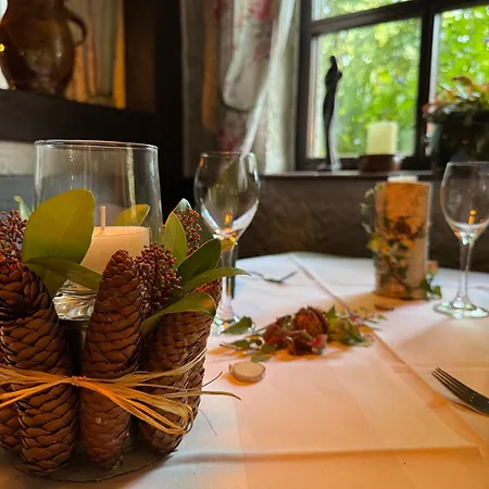 Tannenhof Hotel 3*
